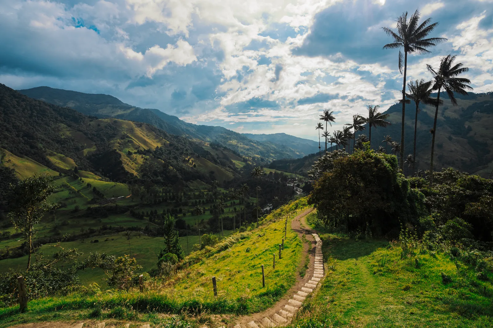 Colombia: Andes to Caribbean — Valle de Cocora, Colombia