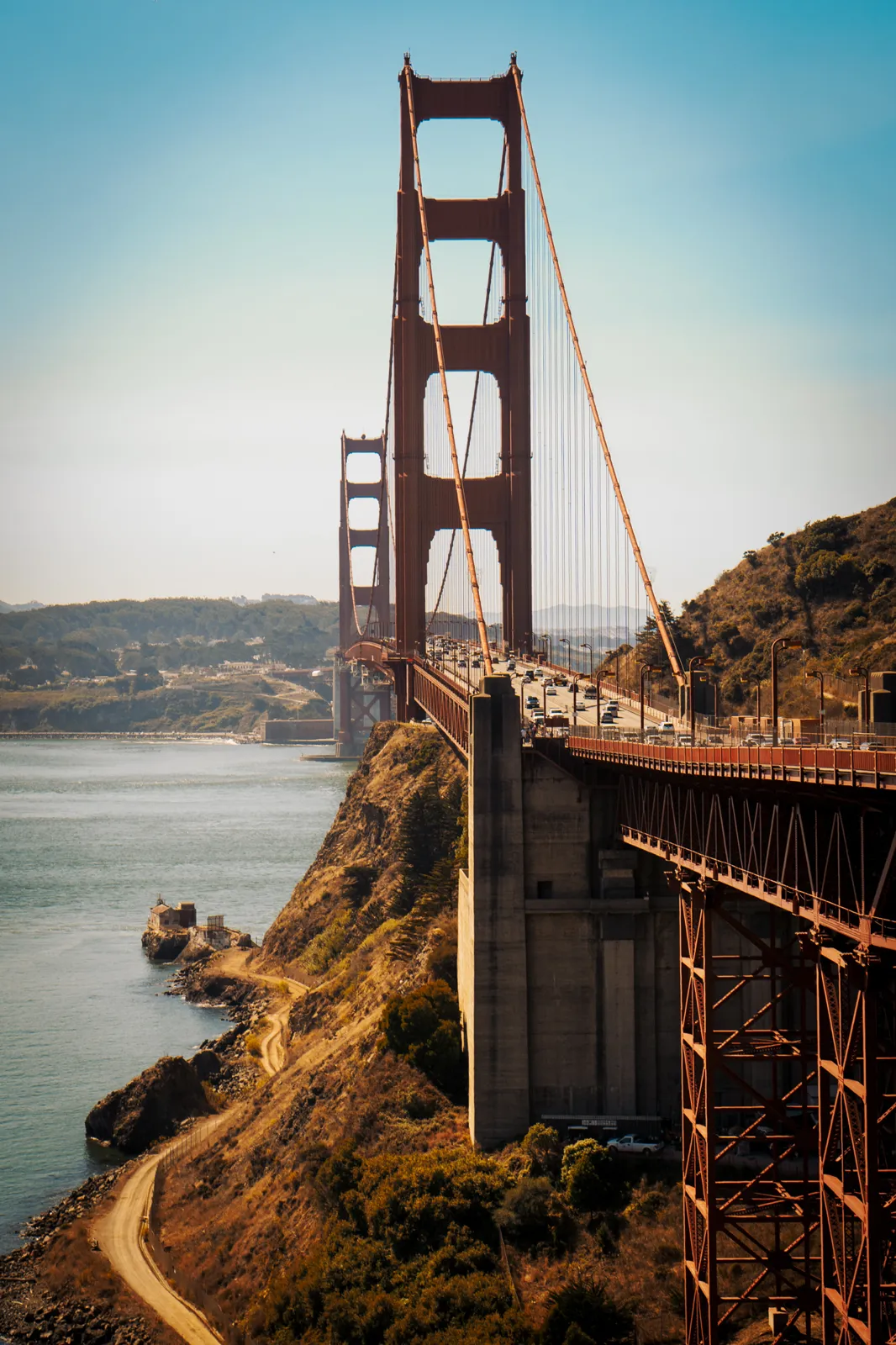 Neon and Redwoods — San Francisco, United States
