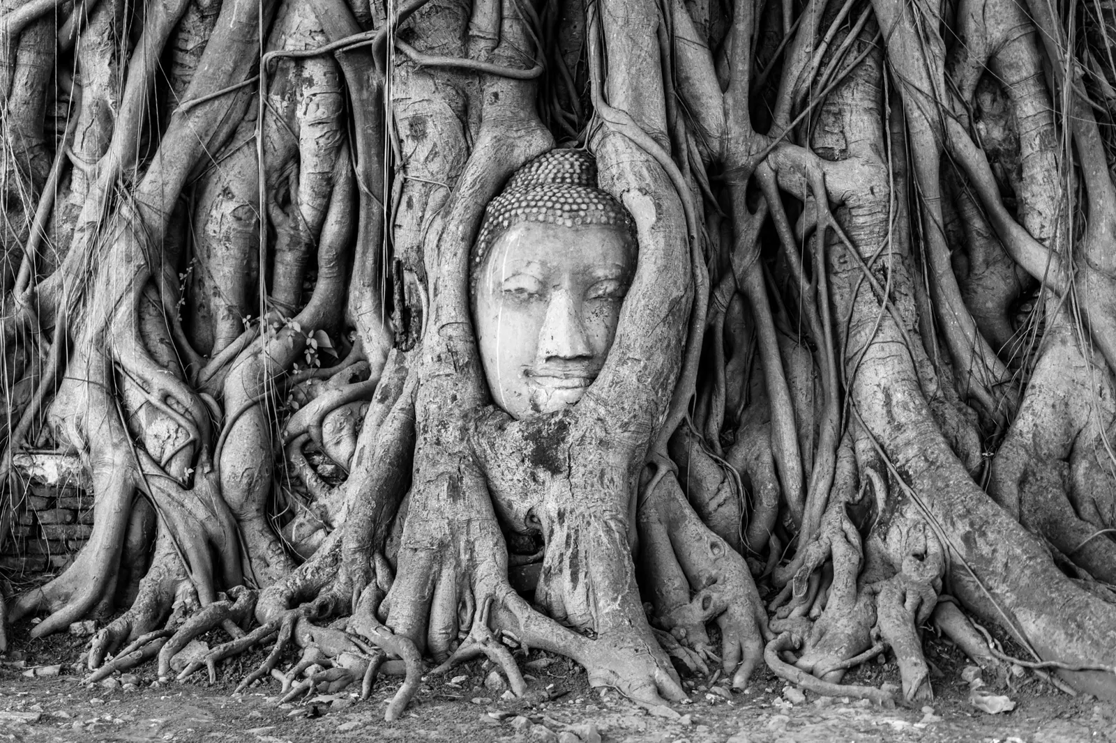 Headlock — Ayutthaya, Thailand