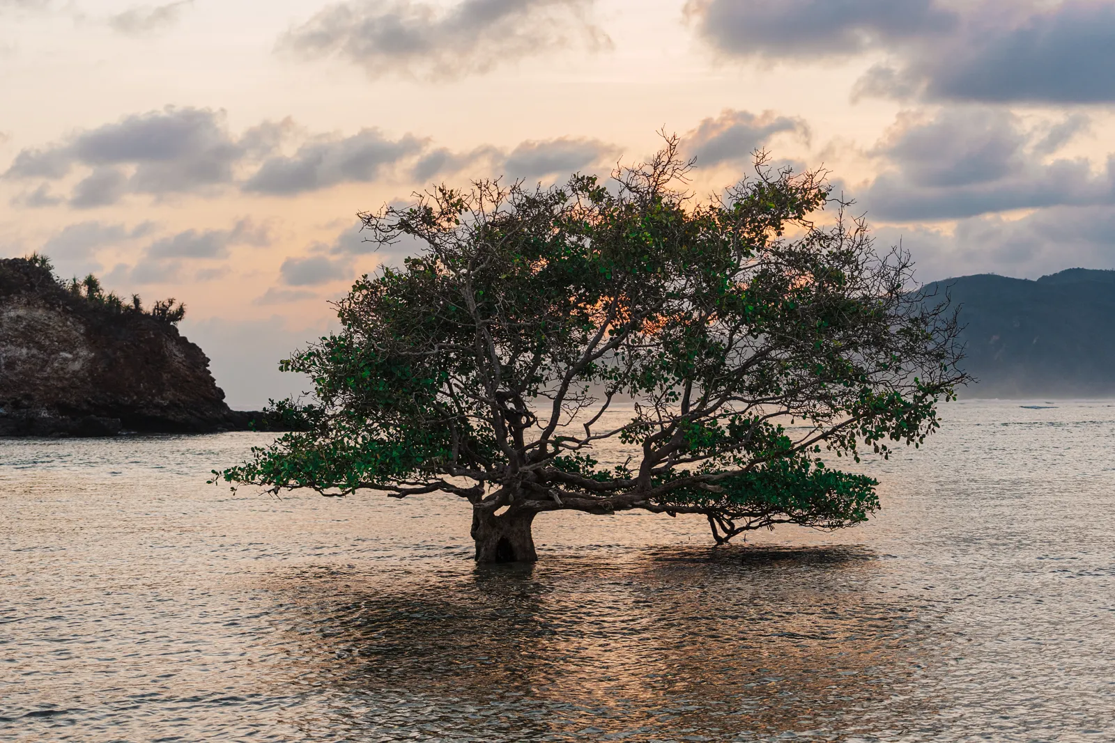 Tides of the Archipelago — Indonesia