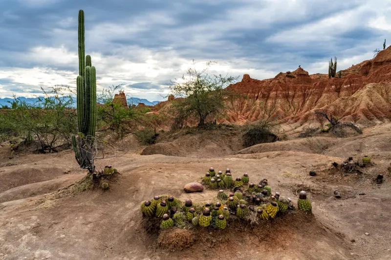 Colombia: Andes to Caribbean — Tatacoa Desert, Colombia