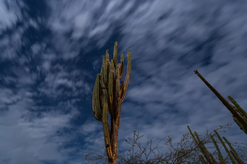 Colombia: Andes to Caribbean — Tatacoa Desert, Colombia