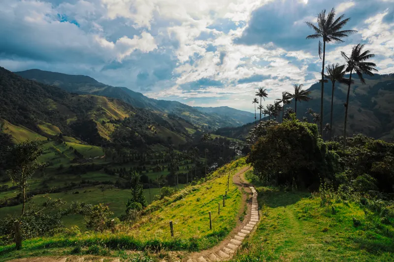 Colombia: Andes to Caribbean — Valle de Cocora, Colombia