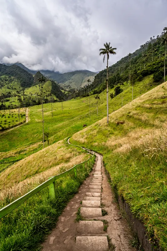 Colombia: Andes to Caribbean — Valle de Cocora, Colombia