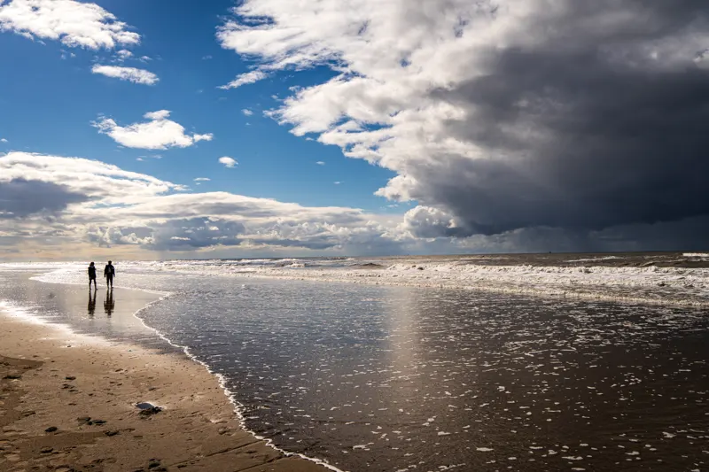 Late Summer Lowlands — Netherlands