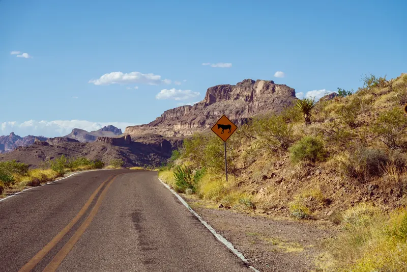Mother Road — Oatman, Arizona, United States