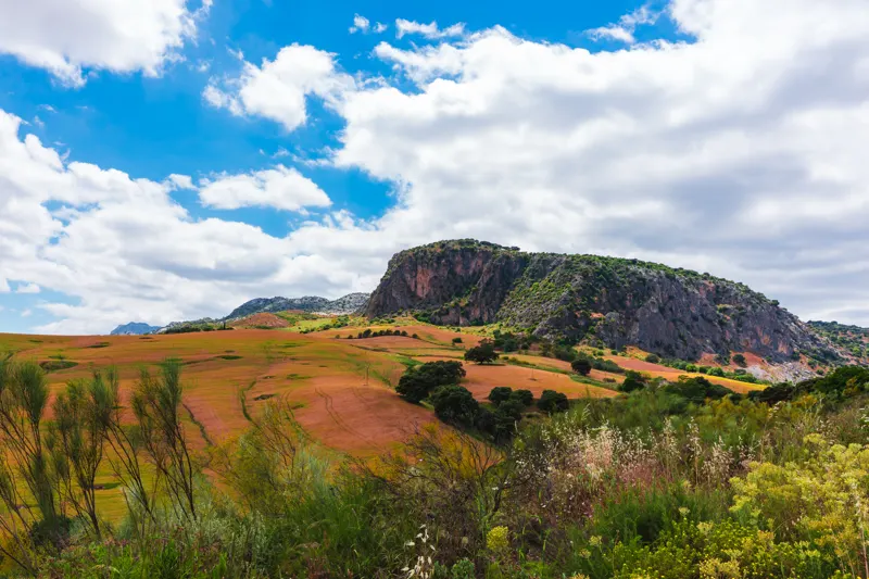 Andalusian Light — Ronda, Spain
