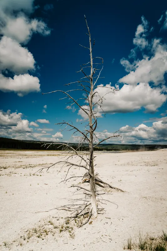 High Country: Glacier to Yellowstone — Yellowstone National Park, United States