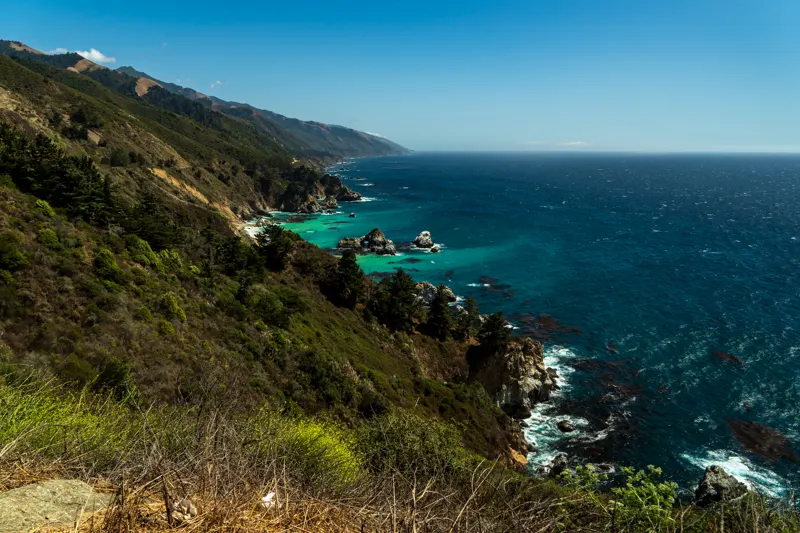 Neon and Redwoods — Big Sur, United States
