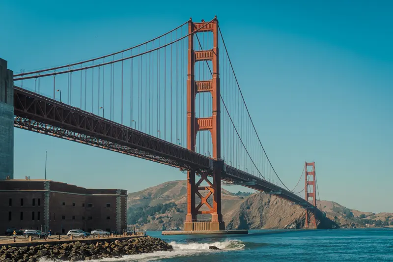 Neon and Redwoods — San Francisco, United States