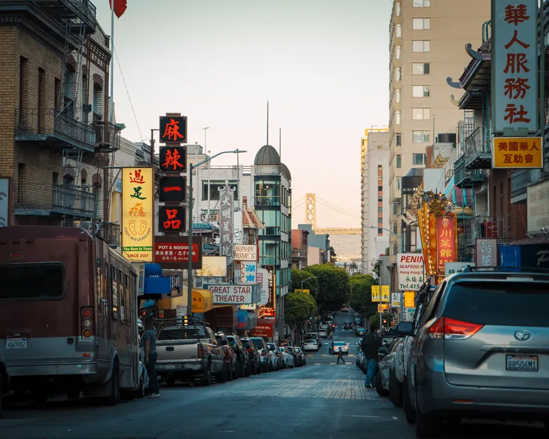 Neon and Redwoods — San Francisco, United States