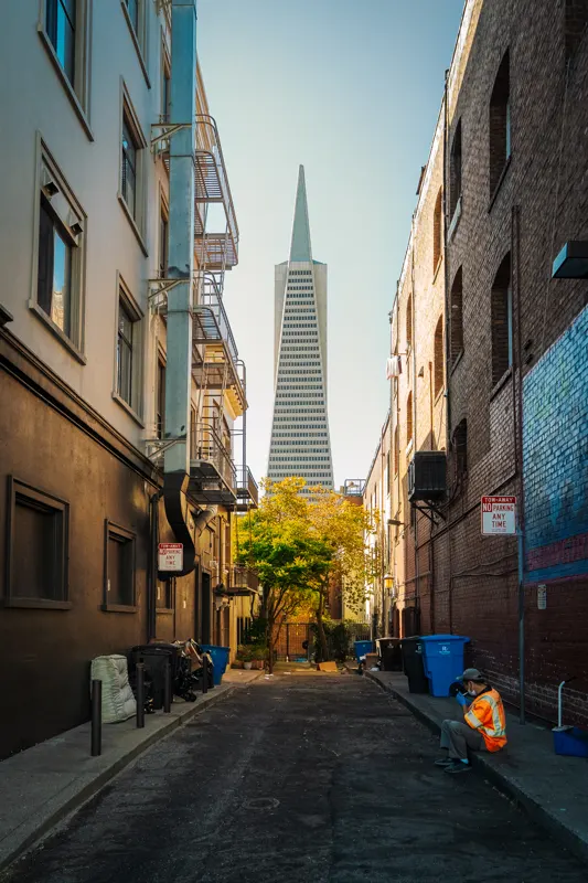 Neon and Redwoods — San Francisco, United States