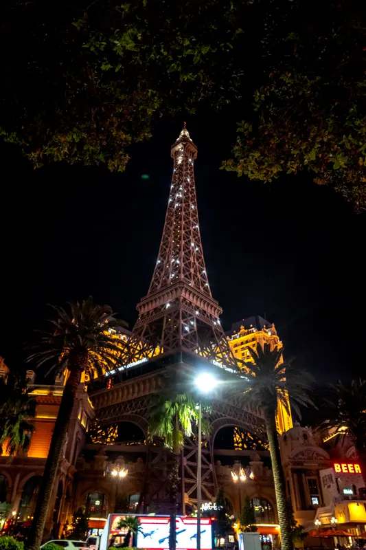 Neon and Redwoods — Las Vegas, United States