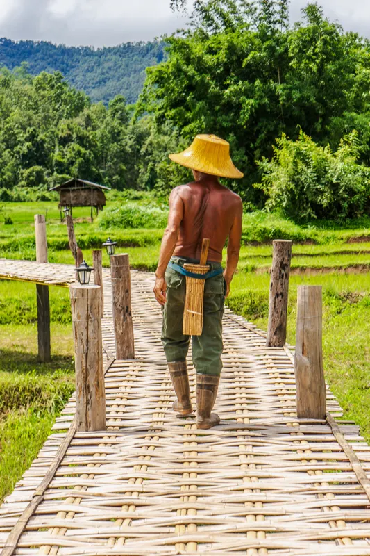 rice guard — Pai, Thailand