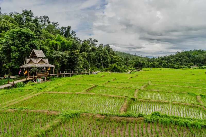 Kingdom of Gold and Green — Pai, Thailand