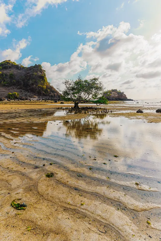 Tides of the Archipelago — Indonesia
