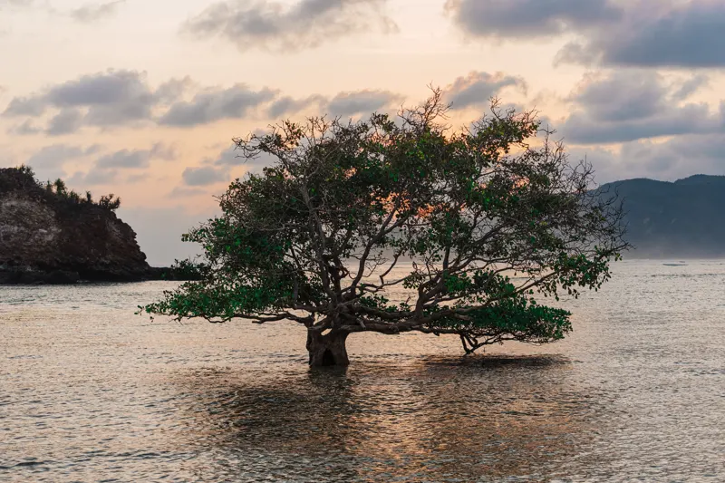 Tides of the Archipelago — Indonesia