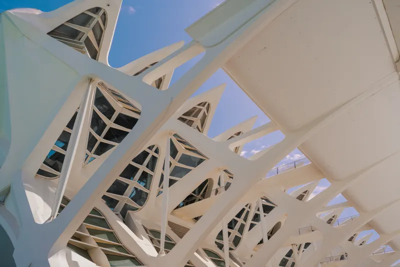 White Ribs, Blue Sky — Valencia, Spain