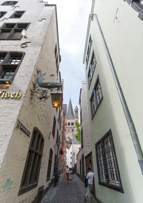 Rhine to the Black Forest — Cologne, Germany