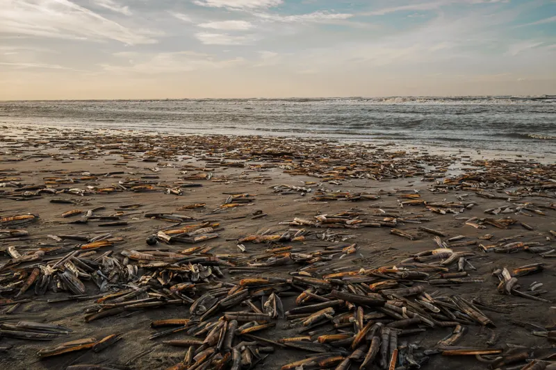 The Low Lands — Netherlands