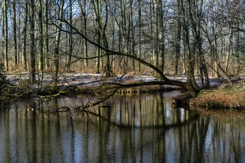 mirror mirror — Arnhem, Netherlands