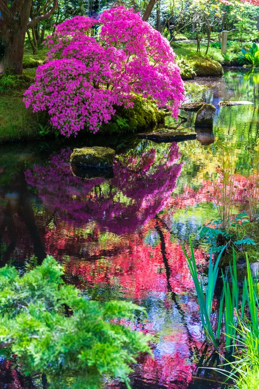 Impressionist reflection — Clingendael, The Hague, Netherlands