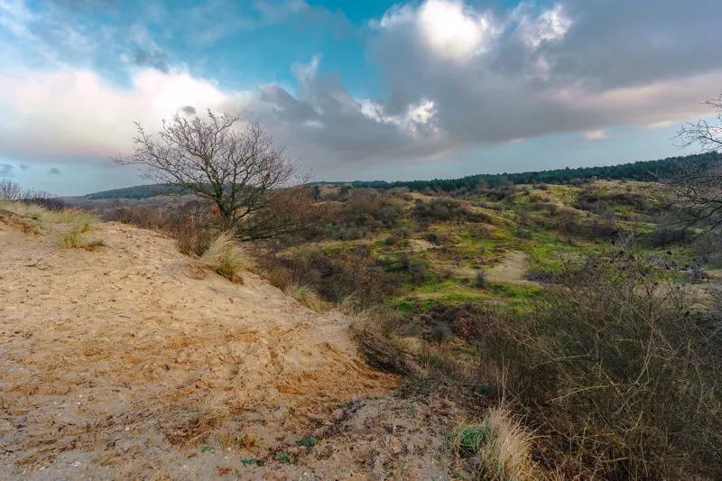The Low Lands — Netherlands