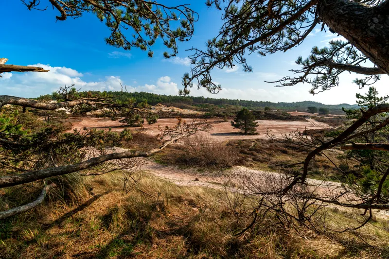 The Low Lands — Netherlands