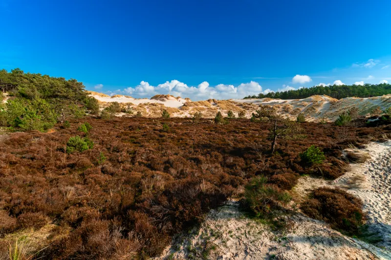 The Low Lands — Netherlands