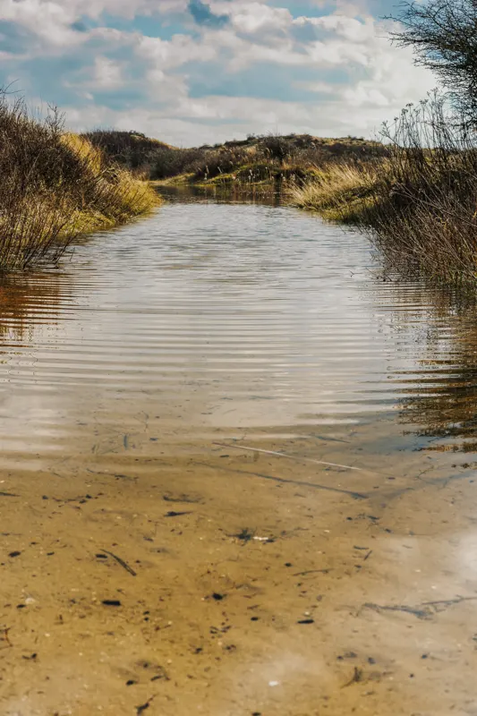 The Low Lands — Netherlands