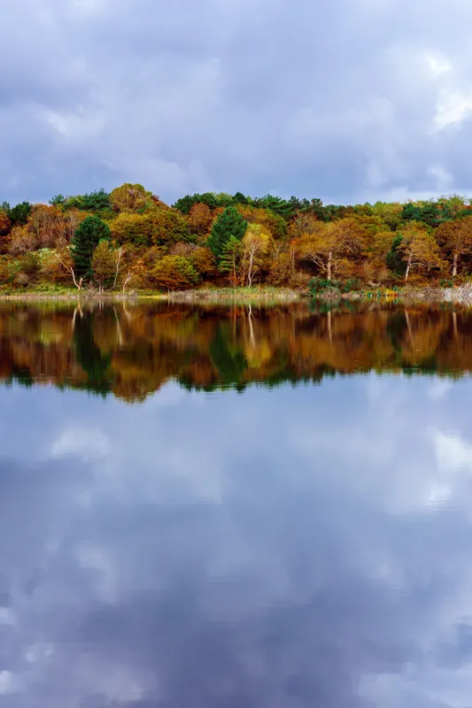The Low Lands — Netherlands
