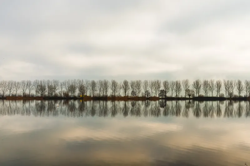 The Low Lands — Netherlands