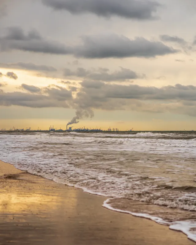 The Low Lands — The Hague, Netherlands