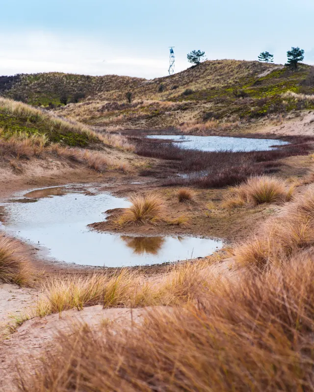 The Low Lands — Zandvoort, Netherlands