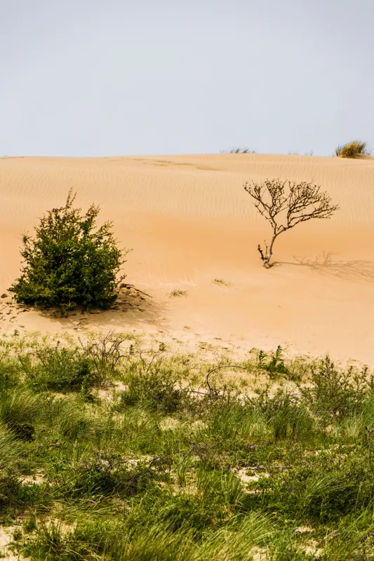 The Low Lands — Oostvoorne, Netherlands