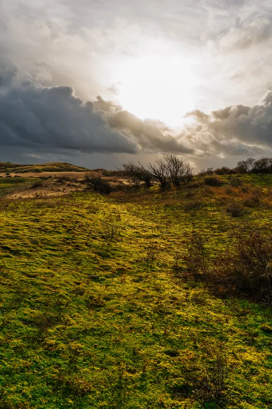The Low Lands — Netherlands