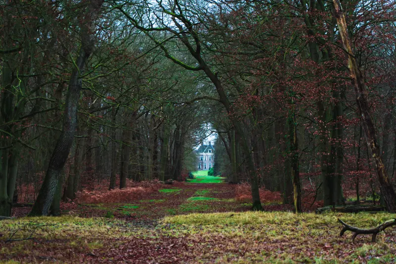 The Low Lands — Netherlands