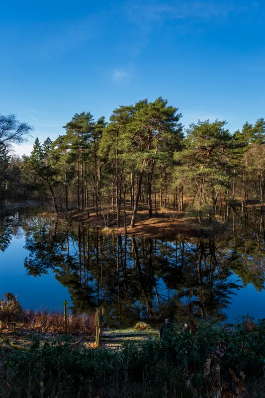 The Low Lands — Netherlands