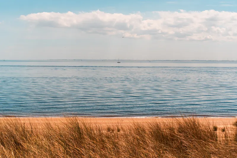 The Low Lands — Texel, Netherlands