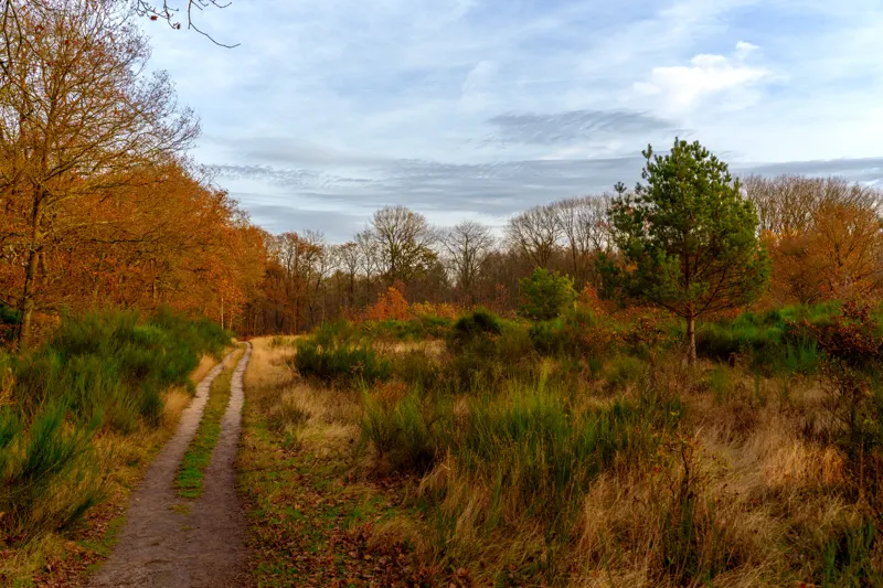 The Low Lands — Netherlands