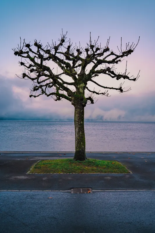 The Low Lands — Netherlands