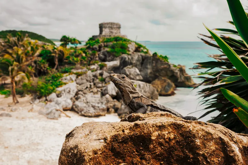 Temples and Tidewater — Tulum, Mexico