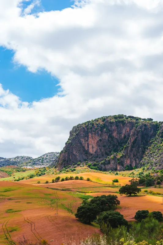 Andalusian Light — Ronda, Spain