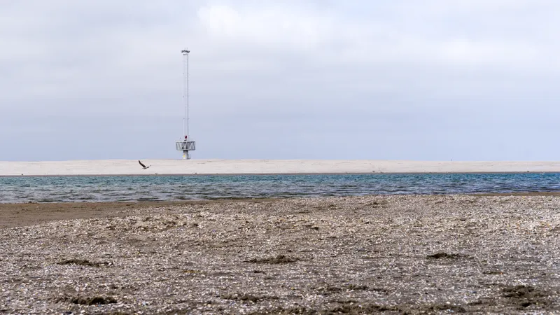 The Low Lands — Kijkduin, Netherlands