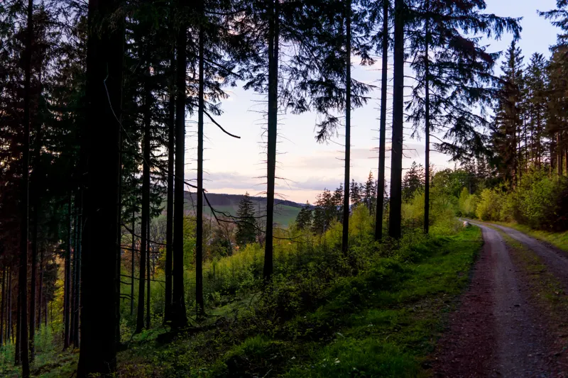 Wanderings — Germany