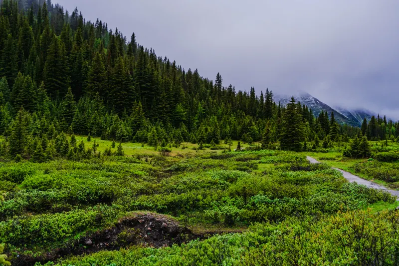 High Country: Glacier to Yellowstone — United States