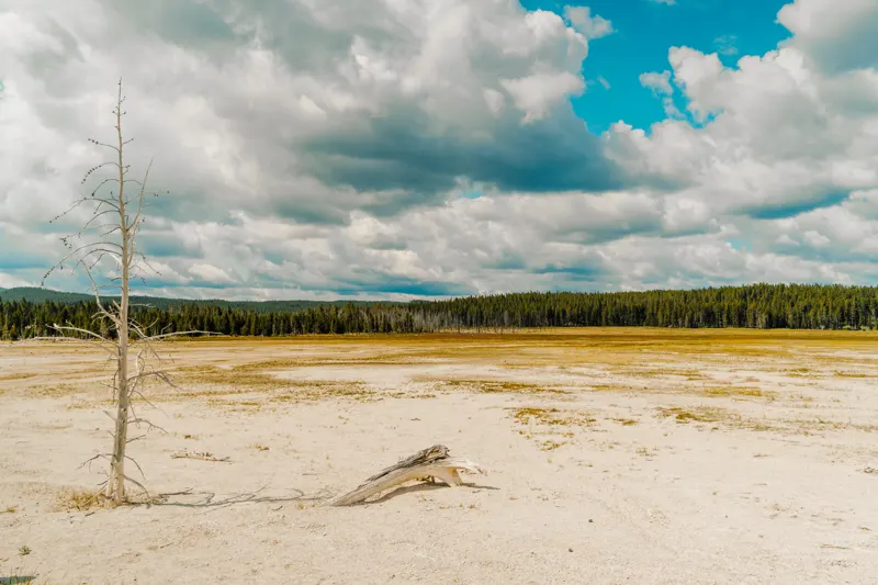 High Country: Glacier to Yellowstone — Yellowstone National Park, United States