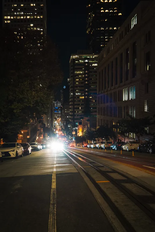 Neon and Redwoods — San Francisco, United States