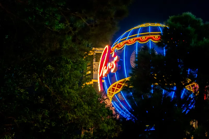 Neon and Redwoods — Las Vegas, United States