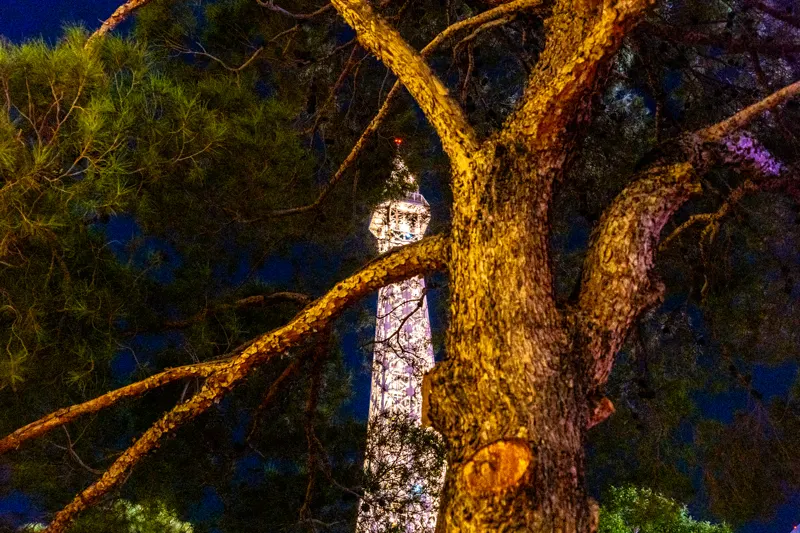 Neon and Redwoods — Las Vegas, United States